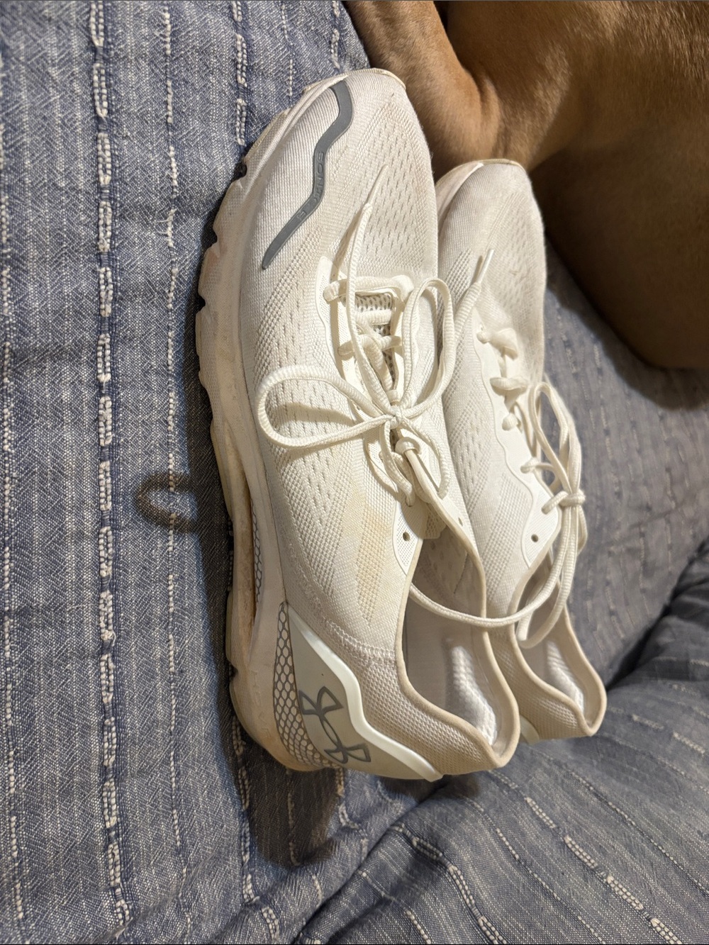 Men’s Under Armour White Cream Lace-Up Training Sneakers